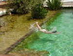 Sensación y espacio en una piscina naturalizada