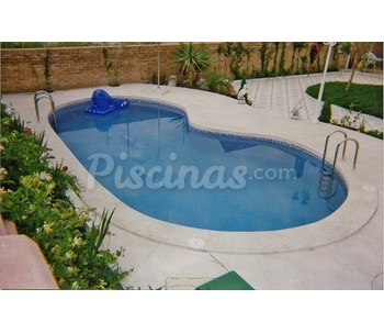 Piscina Riñón 8X4